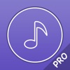 Icon Music Player Pro - Player for lossless music