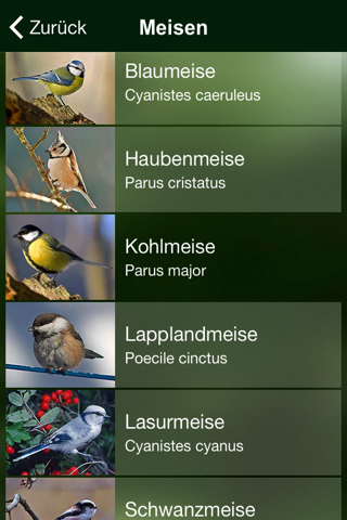 BIRD SONGS Europe North Africa screenshot 4