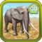 3D Elephant Simulation Premium