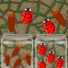 Insects Sort Puzzle Game