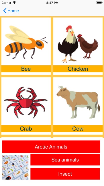 Animals words in English