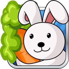 Activities of Hungry Bunny Jump