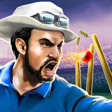 Activities of Cricket Tycoon 2019