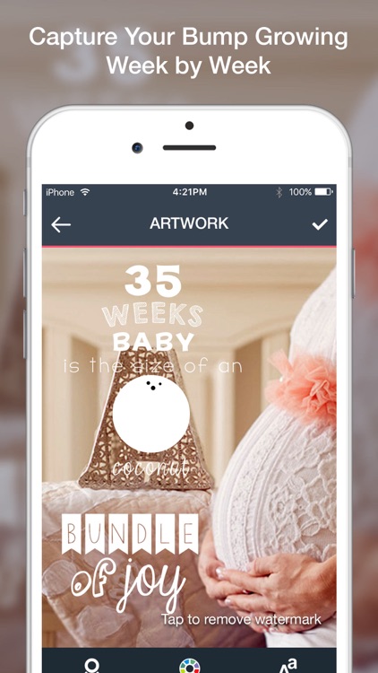 Baby Art-Baby Monthly Pictures