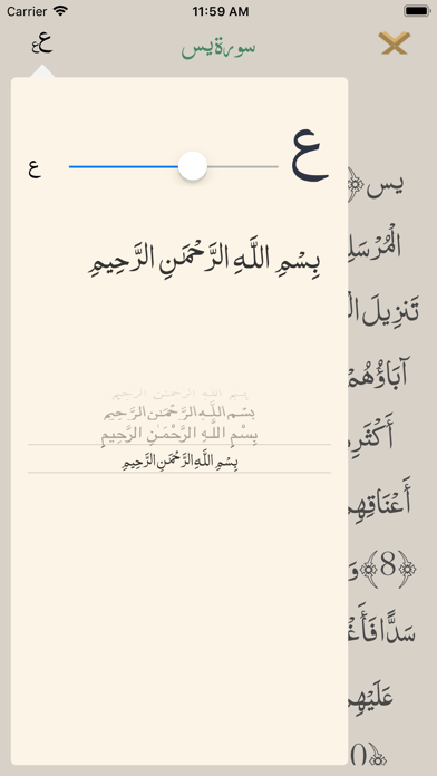 Quran | القرآن الكريم screenshot 2