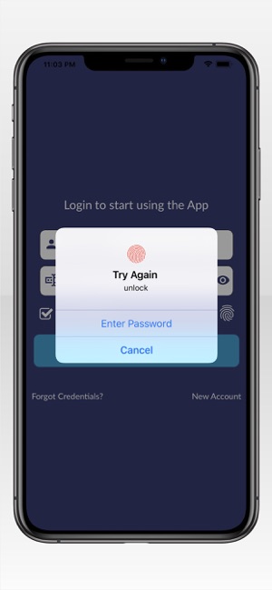 Passwords Manager App