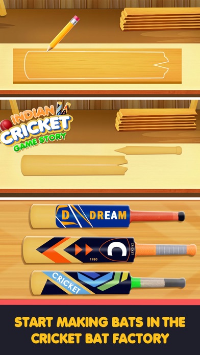 Indian Cricket Game Story screenshot 2