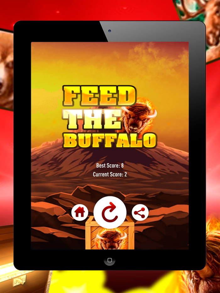 Feed the Buffalo