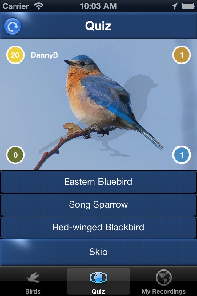 Bird Song Id USA songs & calls screenshot 4