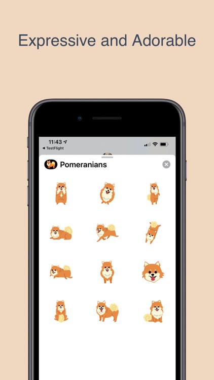 Pomeranians