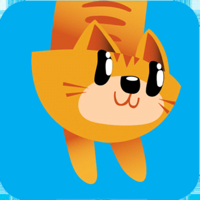 CATFALL - A Real Life Story