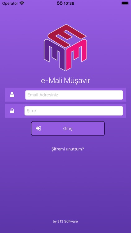 e-Mali Müşavir