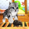Kitten Cat VS Rat Runner Game
