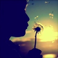 Letter of Wishes pour PC
