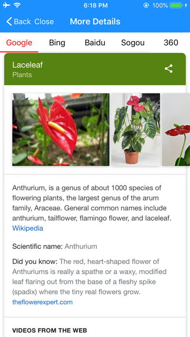 iFlowers - Plant identifier screenshot 3