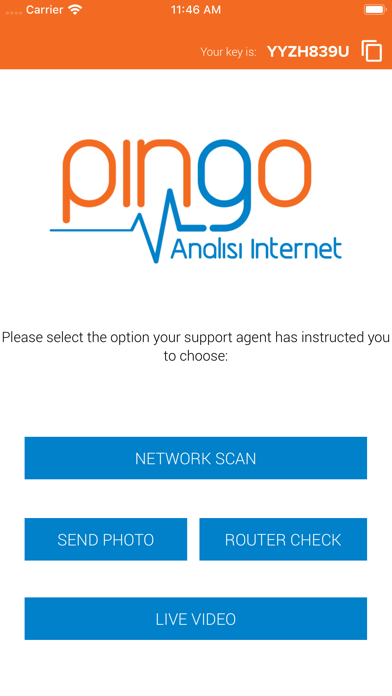 Pingo Analisi Internet screenshot 2