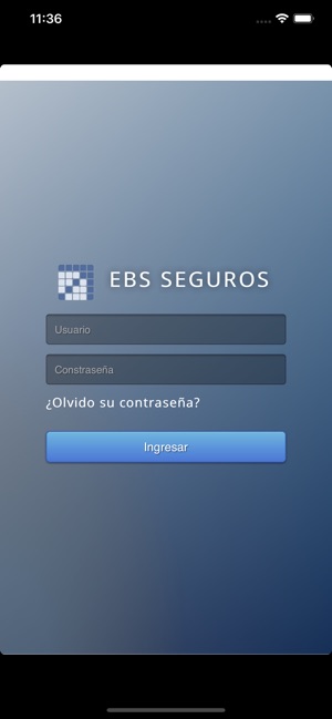 EBS SEGUROS