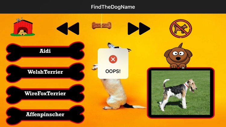 Find The Dog Name screenshot-3