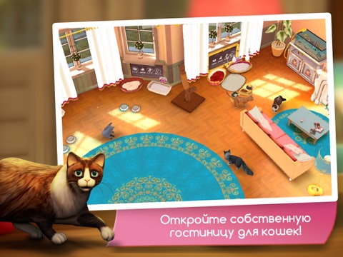Скриншот из CatHotel - Care for cute cats