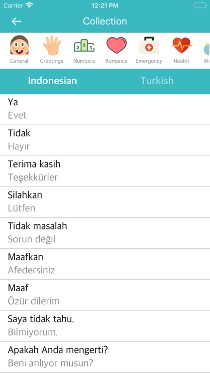 Indonesian-Turkish Dictionary