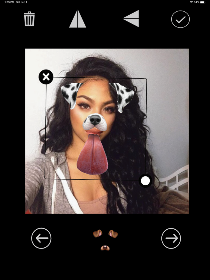Filter Zoo-写真加工
