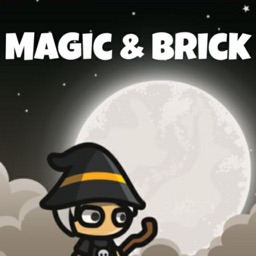Magic & Brick
