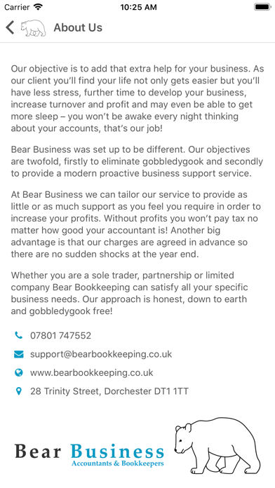 Bear Accountants screenshot 2