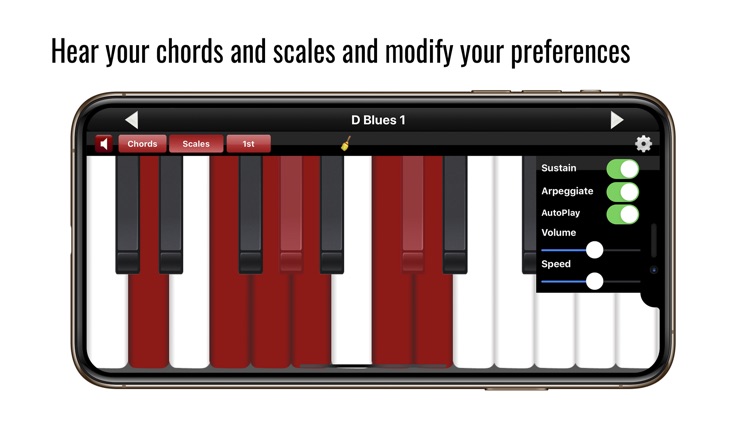 Piano Chords & Scales screenshot-4
