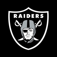 Raiders + Allegiant Stadium Erfahrungen und Bewertung