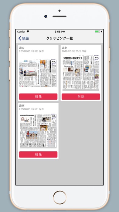 北海道新聞 どうしん電子版紙面ビューアー screenshot1