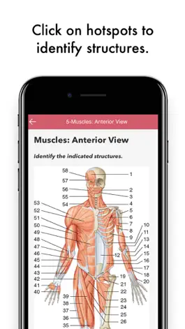 Game screenshot Gray's Anatomy Audio Hot Spots hack