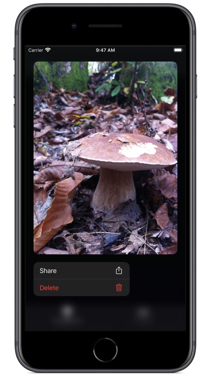 Track My Mushrooms screenshot-6