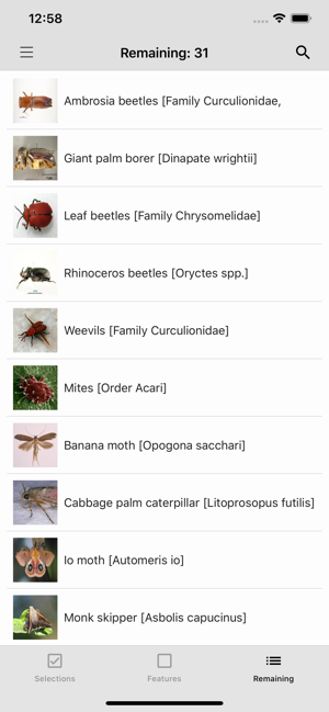 Palm Pests Key(圖3)-速報App