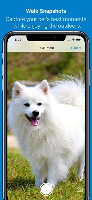Tractive Dog Walk On The App Store - najeeb 59 dogs on roblox