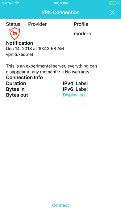 Let's Connect! VPN screenshot 3