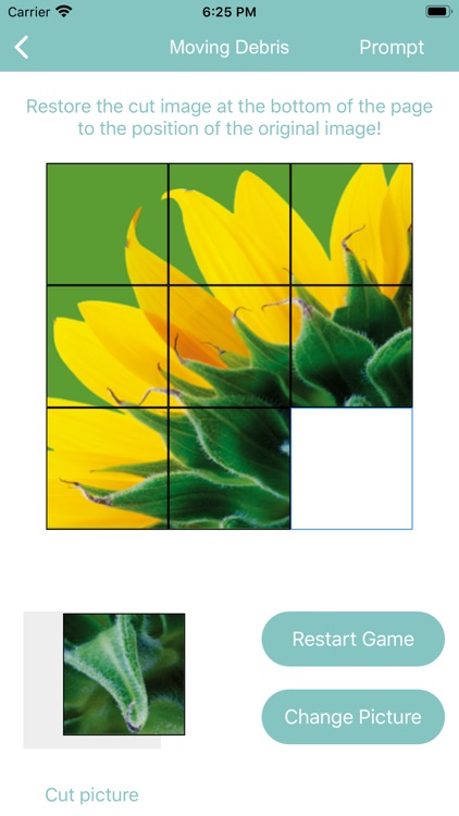 MD-Moving Debris screenshot-5