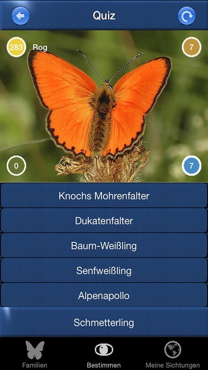 Schmetterling Id - Tagfalter screenshot-3