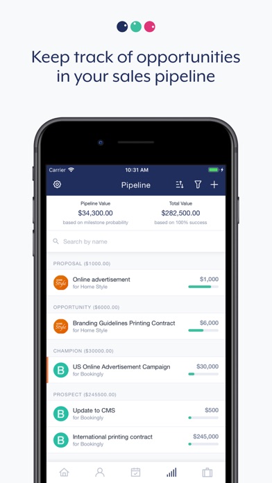 Capsule CRM screenshot