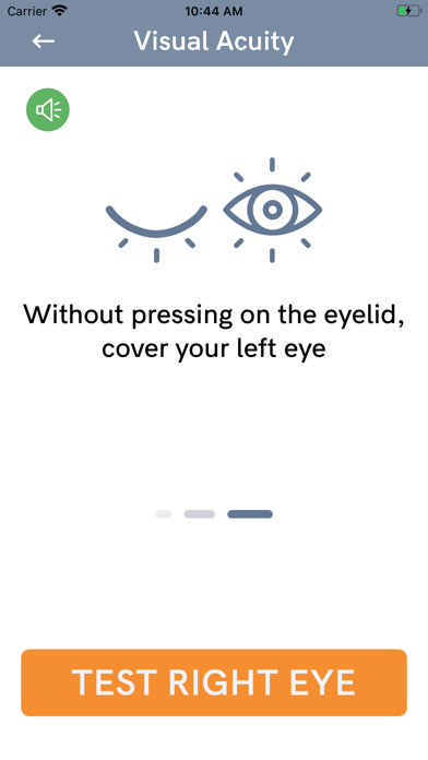 Verana Vision Test screenshot 3