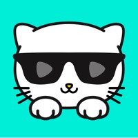Kitty - Streaming & Broadcast
