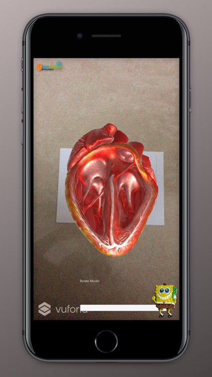 Human Anatomy (AR)