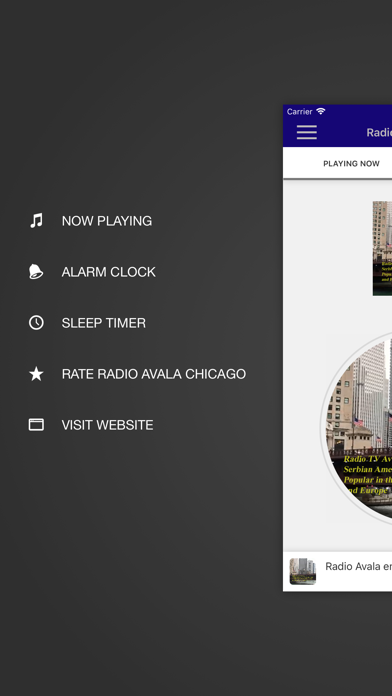 Radio Avala Chicago screenshot 3