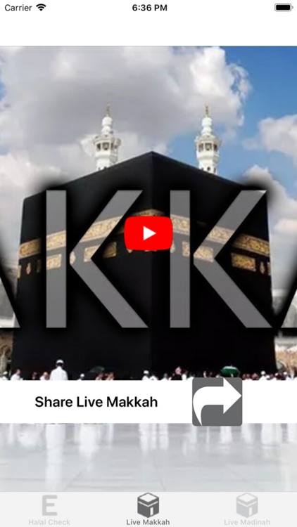 Halal Check E-Numbers