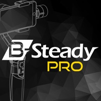 Brica BSTEADY PRO pour PC