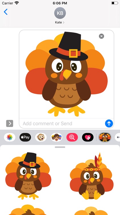 Turkey Time Stickers screenshot-4