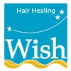 Hair Healing Wish