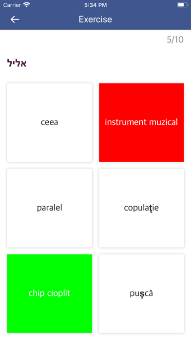 Hebrew Romanian Dictionary screenshot 3