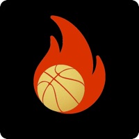 Contact Techniq Basketball