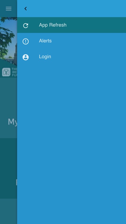 The Ireland Funds Conference19