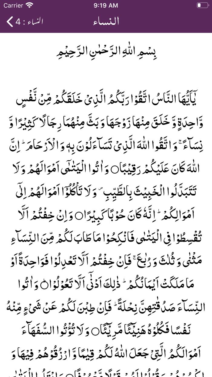 Mufradat ul Quran  Urdu